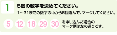 1.5個の数字を決めてください。